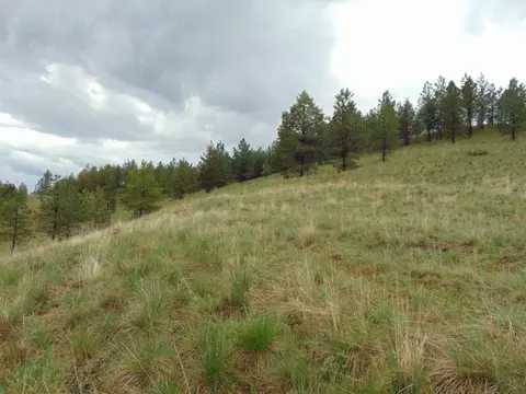 tbd Shady Spgs, Cascade, MT 59421 photo 34