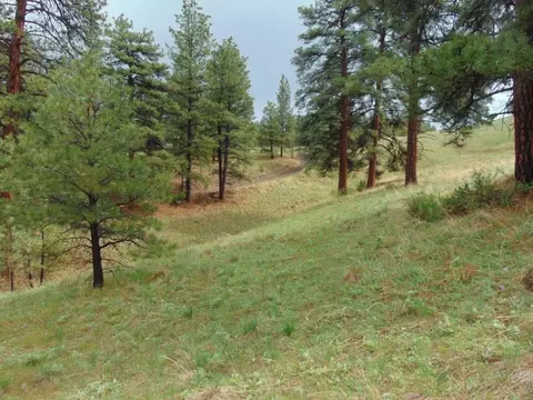 tbd Shady Spgs, Cascade, MT 59421 photo 8