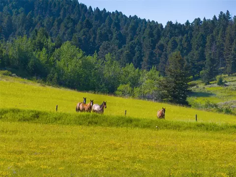 lot6 Jackson Creek Rd, Bozeman, MT 59715 photo 3