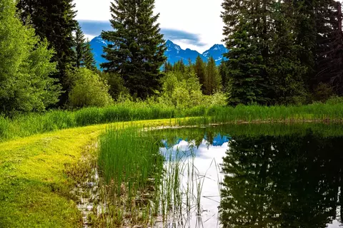 View/Area - 13750 N Fork Rd, Polebridge, MT 59928 photo 2 of 6