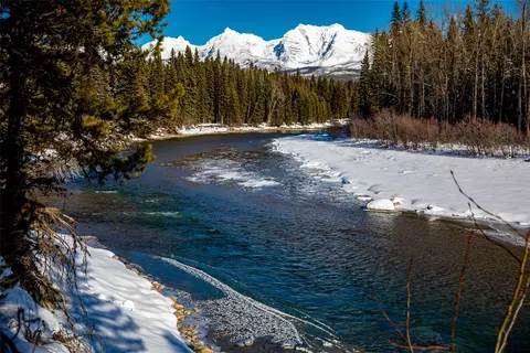 View/Area - 13750 N Fork Rd, Polebridge, MT 59928 photo 6 of 6