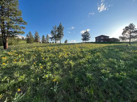 Exterior - 235 Shady Ln, Clancy, MT 59634 photo 28 of 29