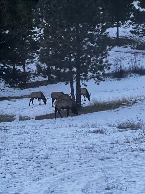 Other - 235 Shady Ln, Clancy, MT 59634 photo 25 of 27