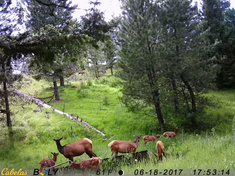 Other - 235 Shady Ln, Clancy, MT 59634 photo 21 of 27