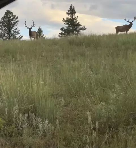 Other - 235 Shady Ln, Clancy, MT 59634 photo 27 of 27