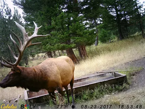 Other - 235 Shady Ln, Clancy, MT 59634 photo 23 of 27