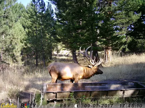 Other - 235 Shady Ln, Clancy, MT 59634 photo 22 of 27