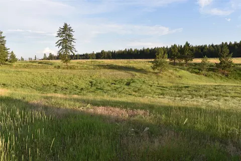 Other - 245 Shepherd Trl, Kalispell, MT 59901 photo 8 of 14