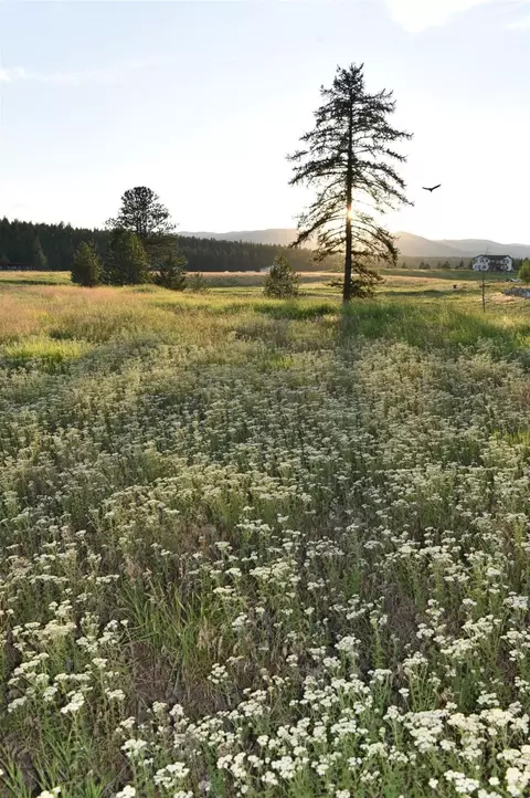 Other - 245 Shepherd Trl, Kalispell, MT 59901 photo 11 of 14