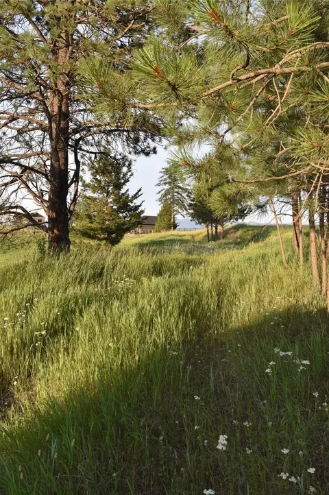 Exterior - 245 Shepherd Trl, Kalispell, MT 59901 photo 2 of 2