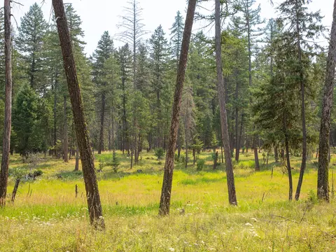 415 Bowdish Rd, Kalispell, MT 59901 photo 5