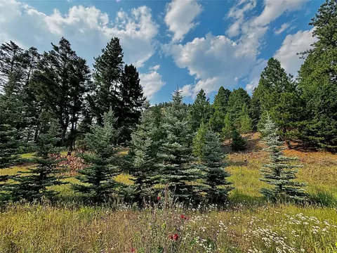 Other - 21 Platt Gulch Rd, Jefferson City, MT 59638 photo 1 of 5