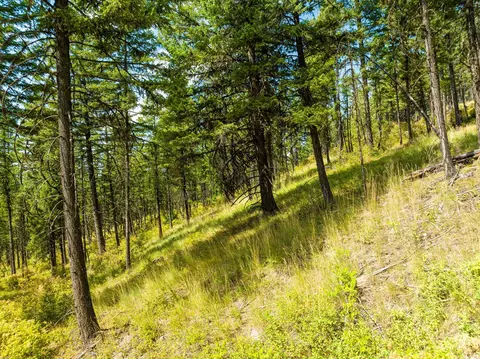 69 Eagle Creek Trl, Whitefish, MT 59937 photo 19