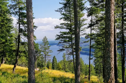 69 Eagle Creek Trl, Whitefish, MT 59937 photo 12