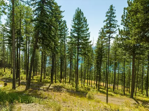 69 Eagle Creek Trl, Whitefish, MT 59937 photo 28