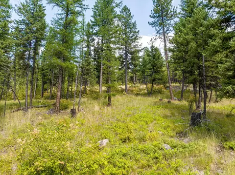 69 Eagle Creek Trl, Whitefish, MT 59937 photo 17
