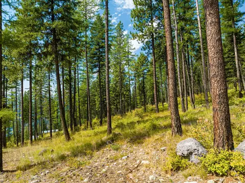 69 Eagle Creek Trl, Whitefish, MT 59937 photo 15