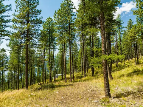 69 Eagle Creek Trl, Whitefish, MT 59937 photo 16