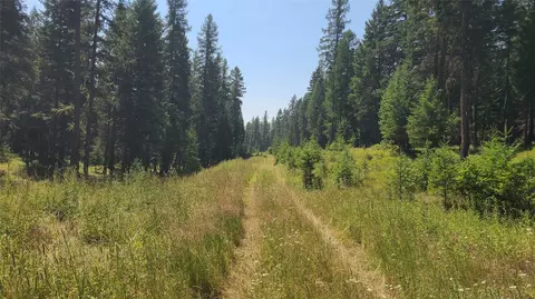 128 Whitefish Forest Loop, Whitefish, MT 59937 photo 9