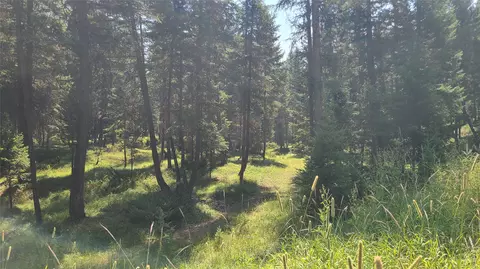 128 Whitefish Forest Loop, Whitefish, MT 59937 photo 3