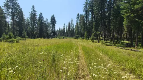 128 Whitefish Forest Loop, Whitefish, MT 59937 photo 2