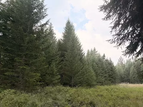 47466 Harmony Ln, Proctor, MT 59929 photo 3