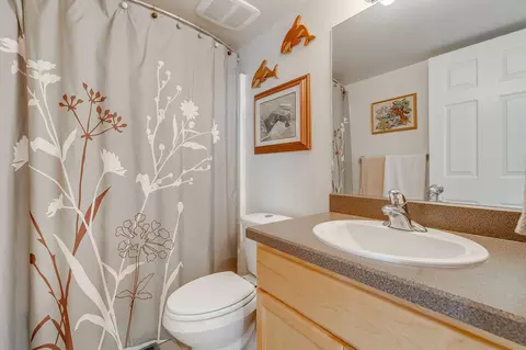 Bath - 41547 Flathead View Dr, Polson, MT 59860 photo 7 of 9