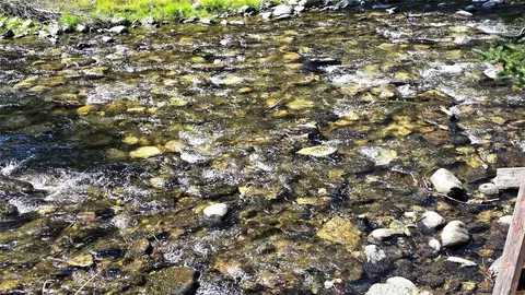 Other - 12 Cascade Ave, Monarch, MT 59463 photo 11 of 15