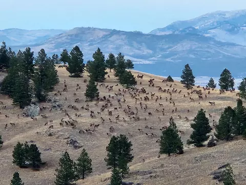 Other - 16 Mule Trail Rd, Clancy, MT 59634 photo 13 of 28
