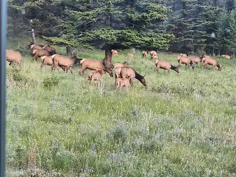 Other - 16 Mule Trail Rd, Clancy, MT 59634 photo 11 of 28
