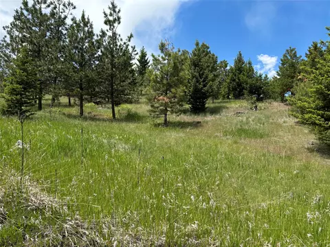 Other - 16 Mule Trail Rd, Clancy, MT 59634 photo 2 of 25