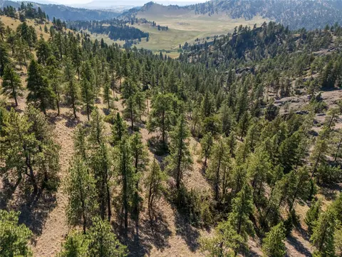 View/Area - 16 Loggers Ln, Cascade, MT 59421 photo 3 of 6