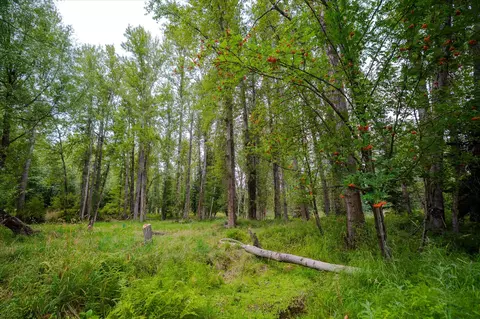 Other - 98 Dome Mountain Ave, Libby, MT 59923 photo 8 of 8