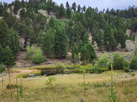 tbd Big Limber Gulch, Basin, MT 59631
