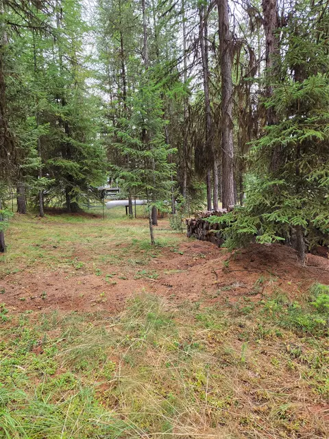 1256 Bitterroot Ln, Marion, MT 59925 photo 3