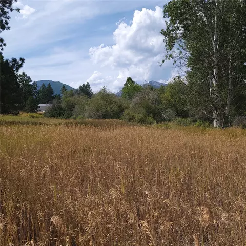 Nhn Canyon Creek Road, Hamilton, MT 59840