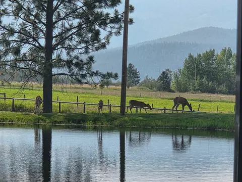 View/Area - 1396 Thunder Rd, Arlee, MT 59821 photo 8 of 8