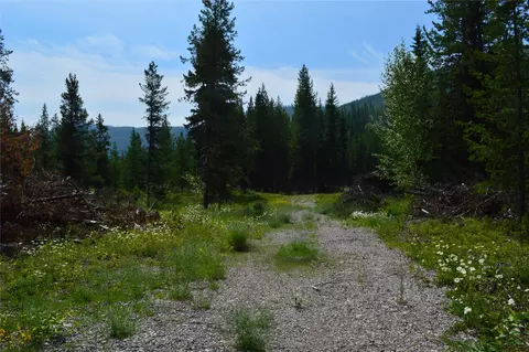 8990 N Fork Rd, Polebridge, MT 59928 photo 2