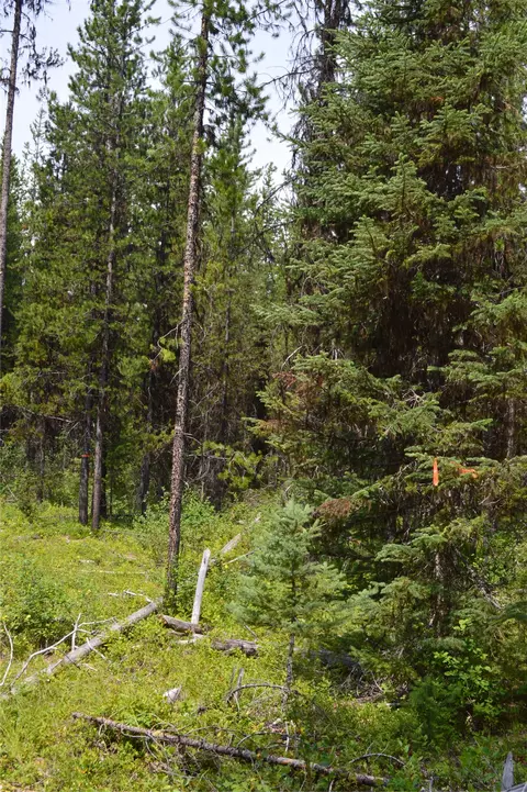 8990 N Fork Rd, Polebridge, MT 59928 photo 8