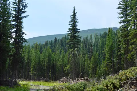 8990 N Fork Rd, Polebridge, MT 59928 photo 3