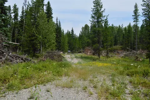 8990 N Fork Rd, Polebridge, MT 59928 photo 5