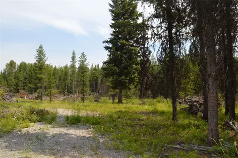 8990 N Fork Rd, Polebridge, MT 59928 photo 4