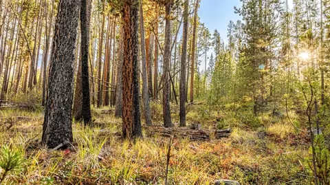 lot7 Tbd Mitchell Dr, Anaconda, MT 59711