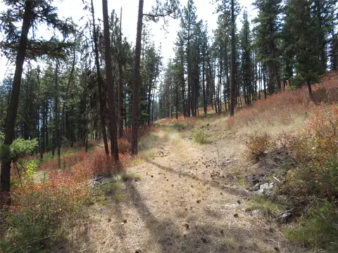 Nhn Rosco Road, Alberton, MT 59820