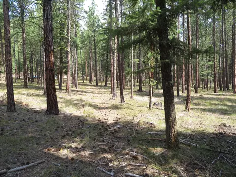 Nhn Rosco Road, Alberton, MT 59820