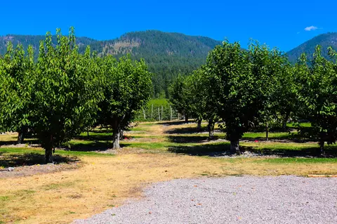 Other - 23726 Mt Hwy 35, Bigfork, MT 59911 photo 17 of 27