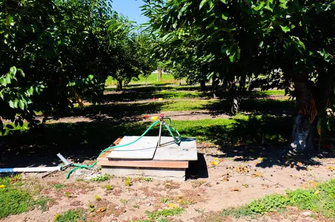 Other - 23726 Mt Hwy 35, Bigfork, MT 59911 photo 18 of 27