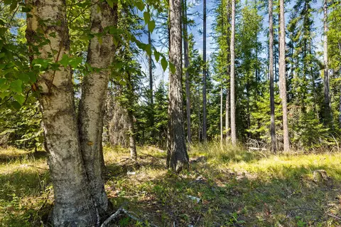 778 Pine Ridge Rd, Bigfork, MT 59911 photo 10