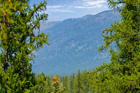778 Pine Ridge Rd, Bigfork, MT 59911 photo 13