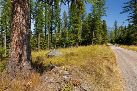 778 Pine Ridge Rd, Bigfork, MT 59911 photo 6